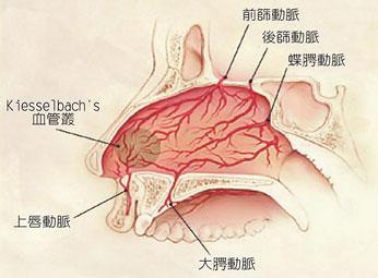 1700201392030.jpg